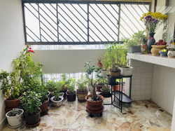 Blk 77 Marine Drive View (Marine Parade), HDB 5 Rooms #602858611